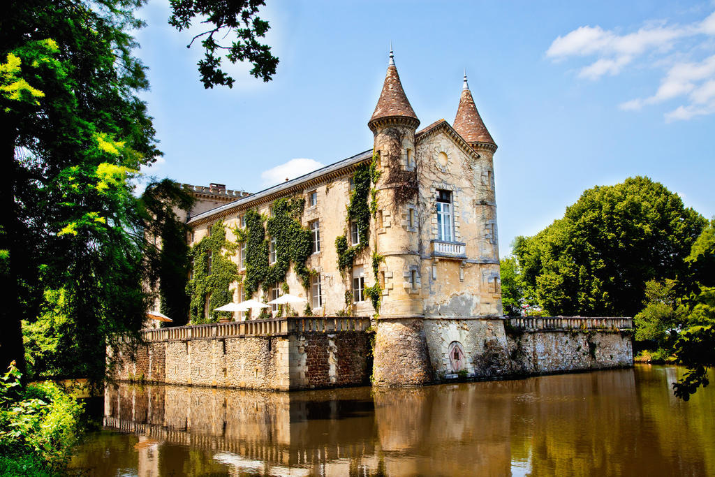 Chateau Lamothe Du Prince Noir - B&B Saint-Sulpice-et-Cameyrac Eksteriør bilde